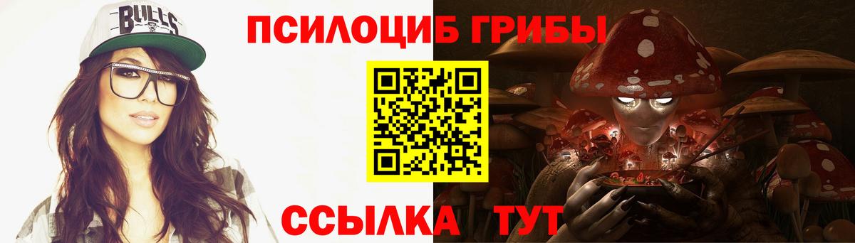 Знаменск  Псилоцибиновые грибы ЛСД  Вход с VPN  Галлюциногенные грибы мухоморы 